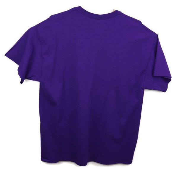 Minnesota Vikings NFL Unisex Adult T-Shirt Purple Crew Neck 100% Cotton Tee XL - Picture 3 of 7